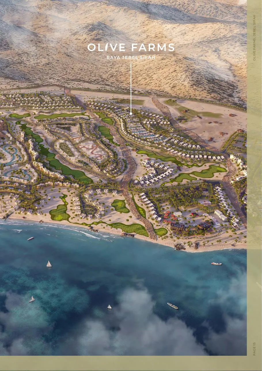 Olive Farms aerial